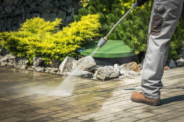 Best Sidewalk and Walkway Cleaning  in Riceville, TN