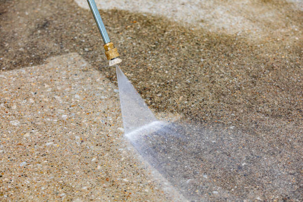 Best Gutter Cleaning  in Riceville, TN